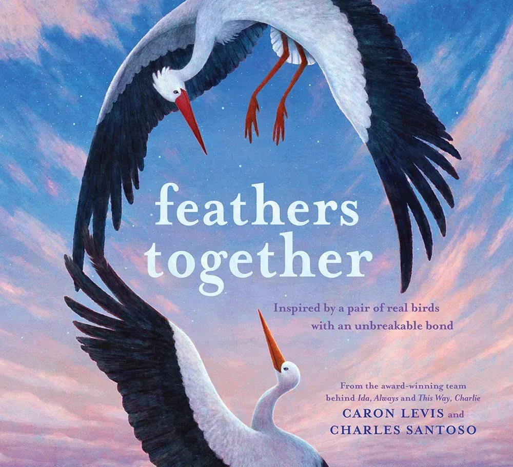 Cover Feathers Together