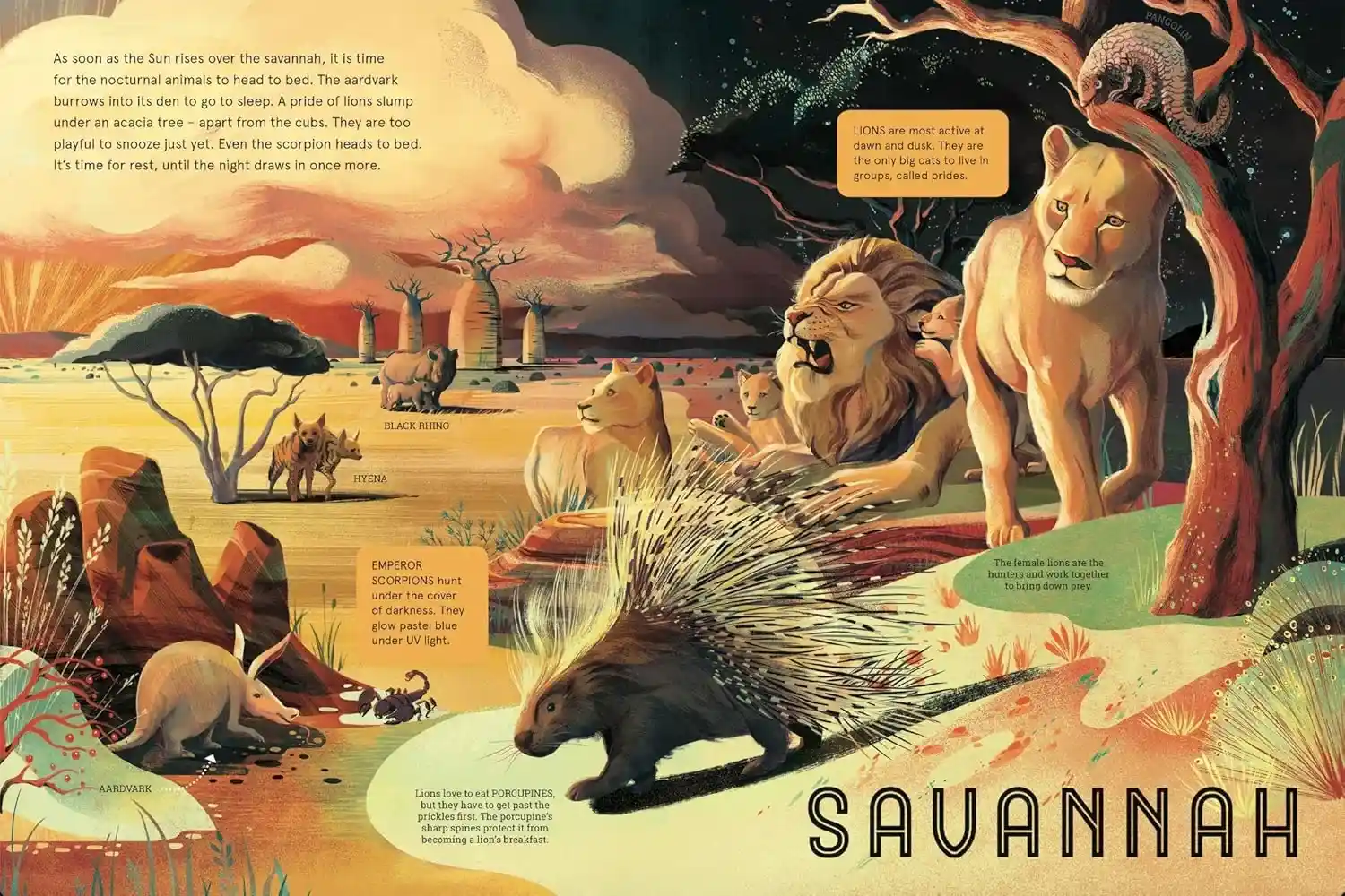 Gambar 4 Glow In The Dark Animals At Night