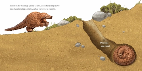 Gambar 2 Hello I'm Pangolin