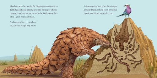 Gambar 3 Hello I'm Pangolin