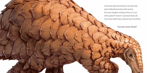 Gambar 4 Hello I'm Pangolin