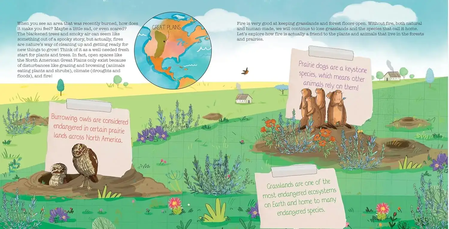 Gambar 2 How Do Fires Protect Nature?