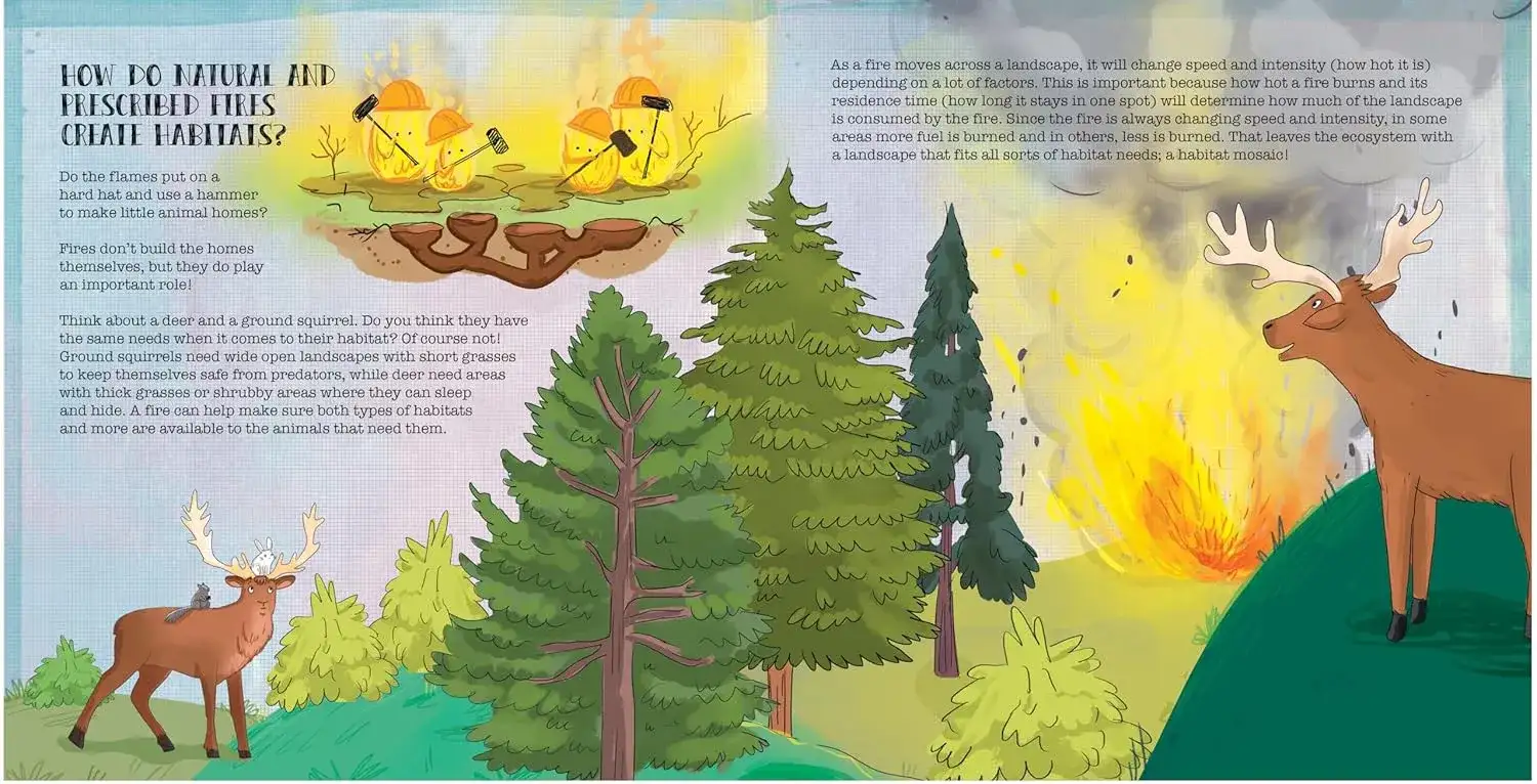 Gambar 4 How Do Fires Protect Nature?