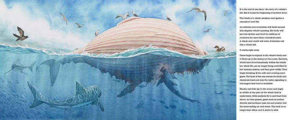Gambar 3 Life After Whale