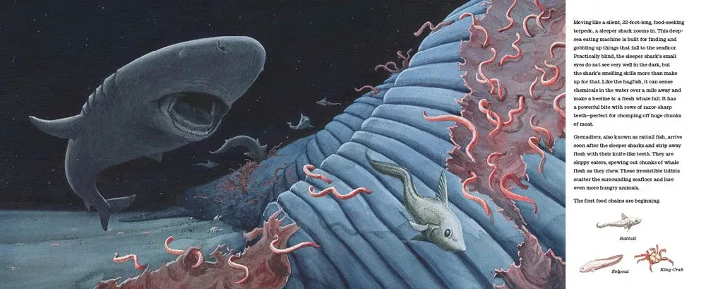 Gambar 4 Life After Whale