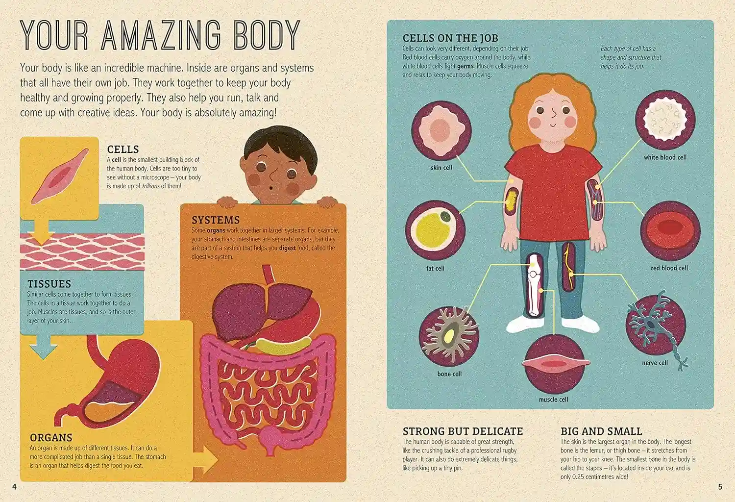 Gambar 2 Magic Magnifying Glass Human Body