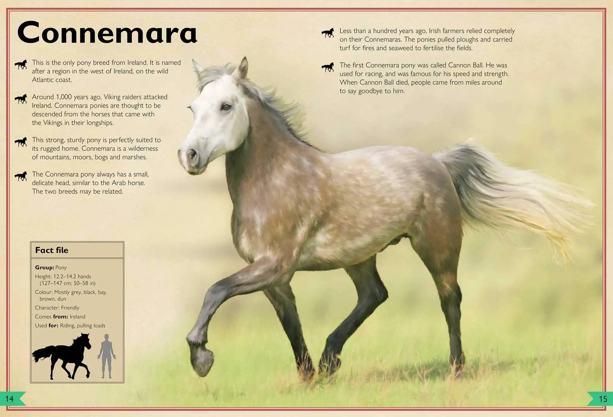 Gambar 2 The Magnificent Book of Horses