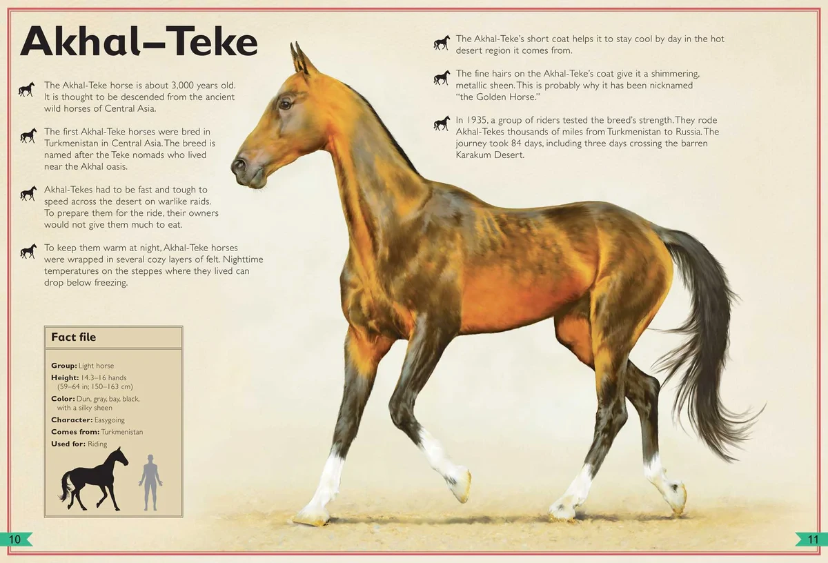 Gambar 3 The Magnificent Book of Horses
