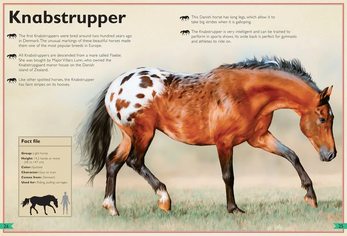 Gambar 4 The Magnificent Book of Horses