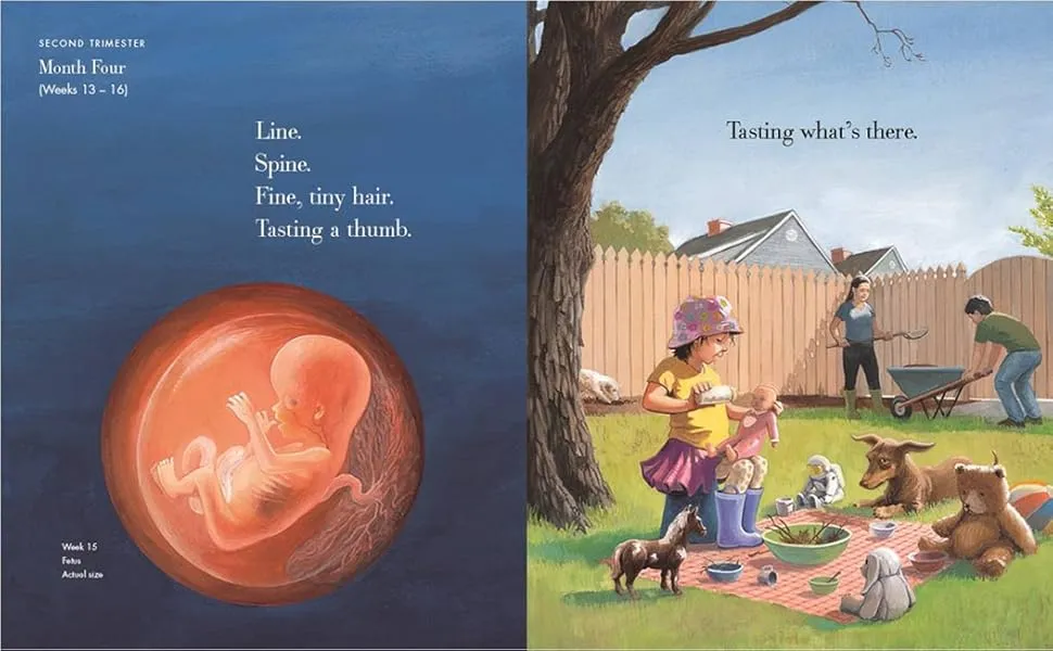 Gambar 3 Nine Months: Before a Baby Is Born