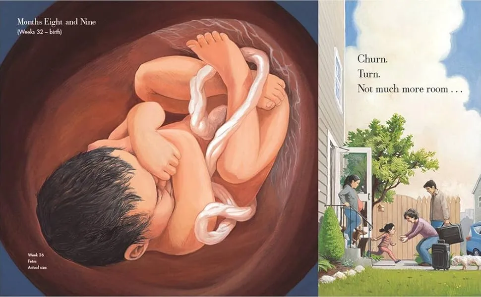 Gambar 4 Nine Months: Before a Baby Is Born
