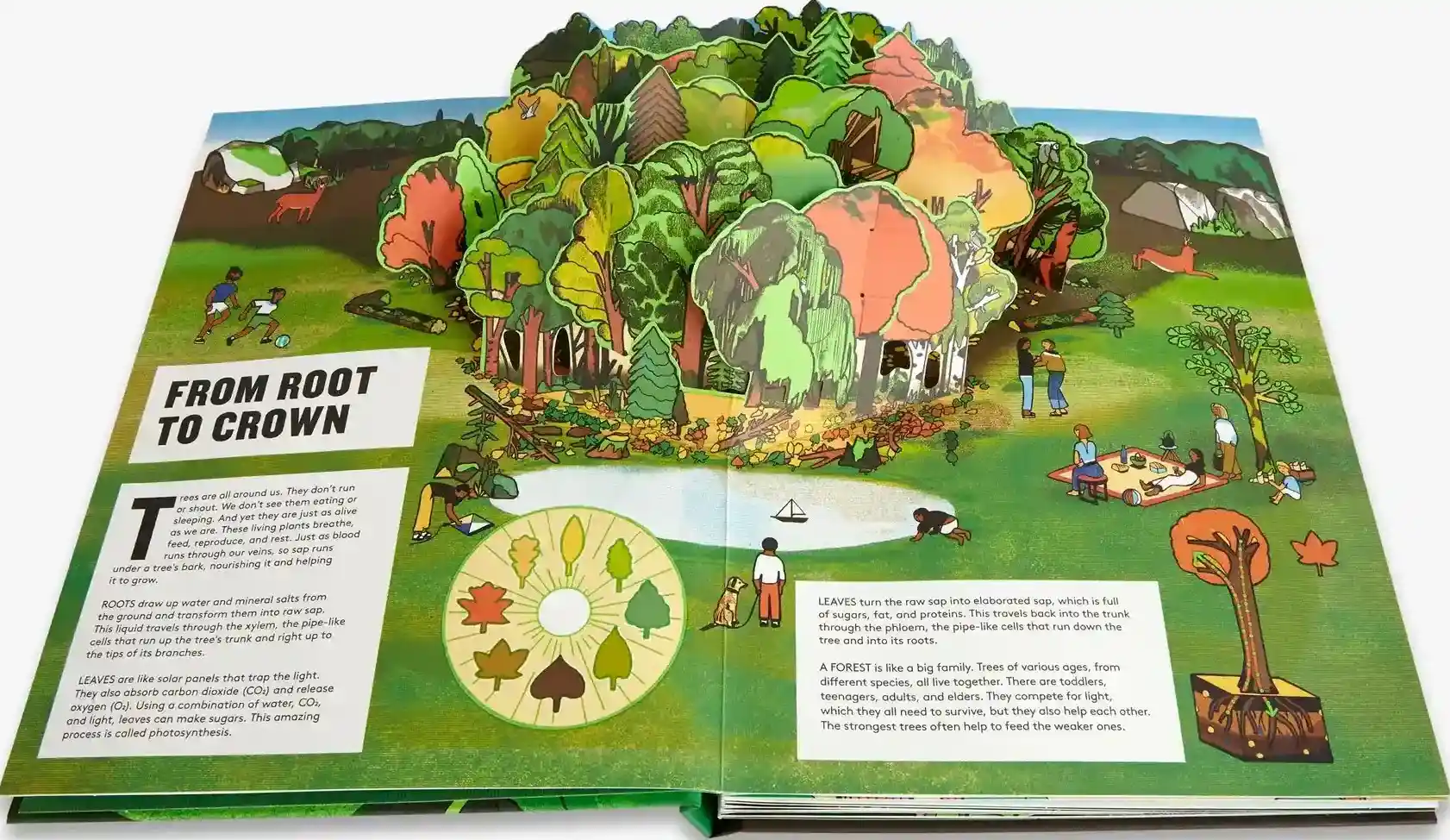 Gambar 2 Pop UP Forest