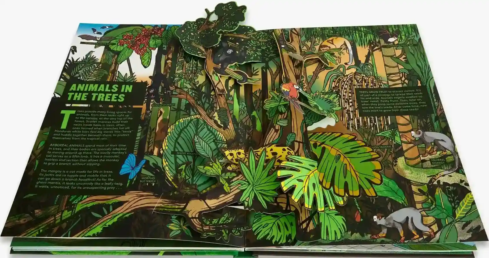 Gambar 3 Pop UP Forest