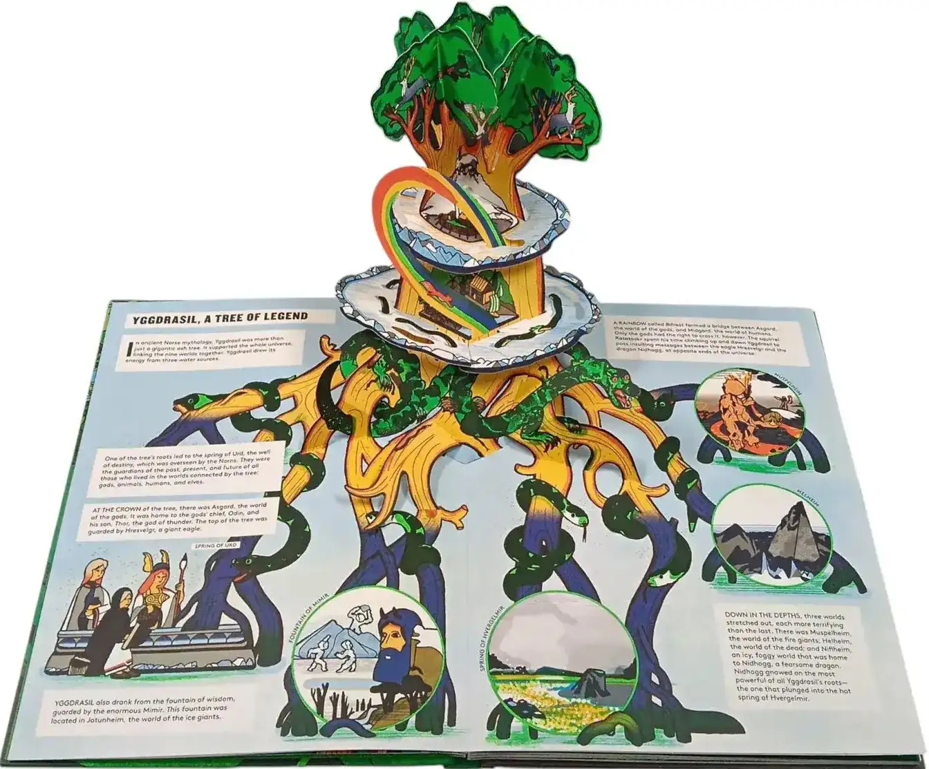 Gambar 4 Pop UP Forest