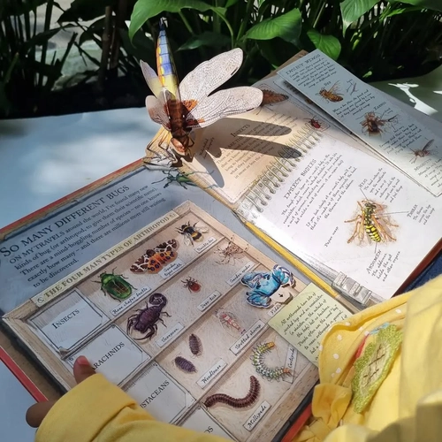 Gambar 2 Bugs: A Stunning Pop-up Look at Insects, Spiders, and Other Creepy-Crawlies