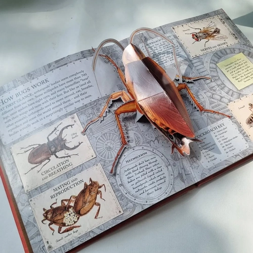 Gambar 3 Bugs: A Stunning Pop-up Look at Insects, Spiders, and Other Creepy-Crawlies