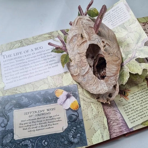 Gambar 4 Bugs: A Stunning Pop-up Look at Insects, Spiders, and Other Creepy-Crawlies