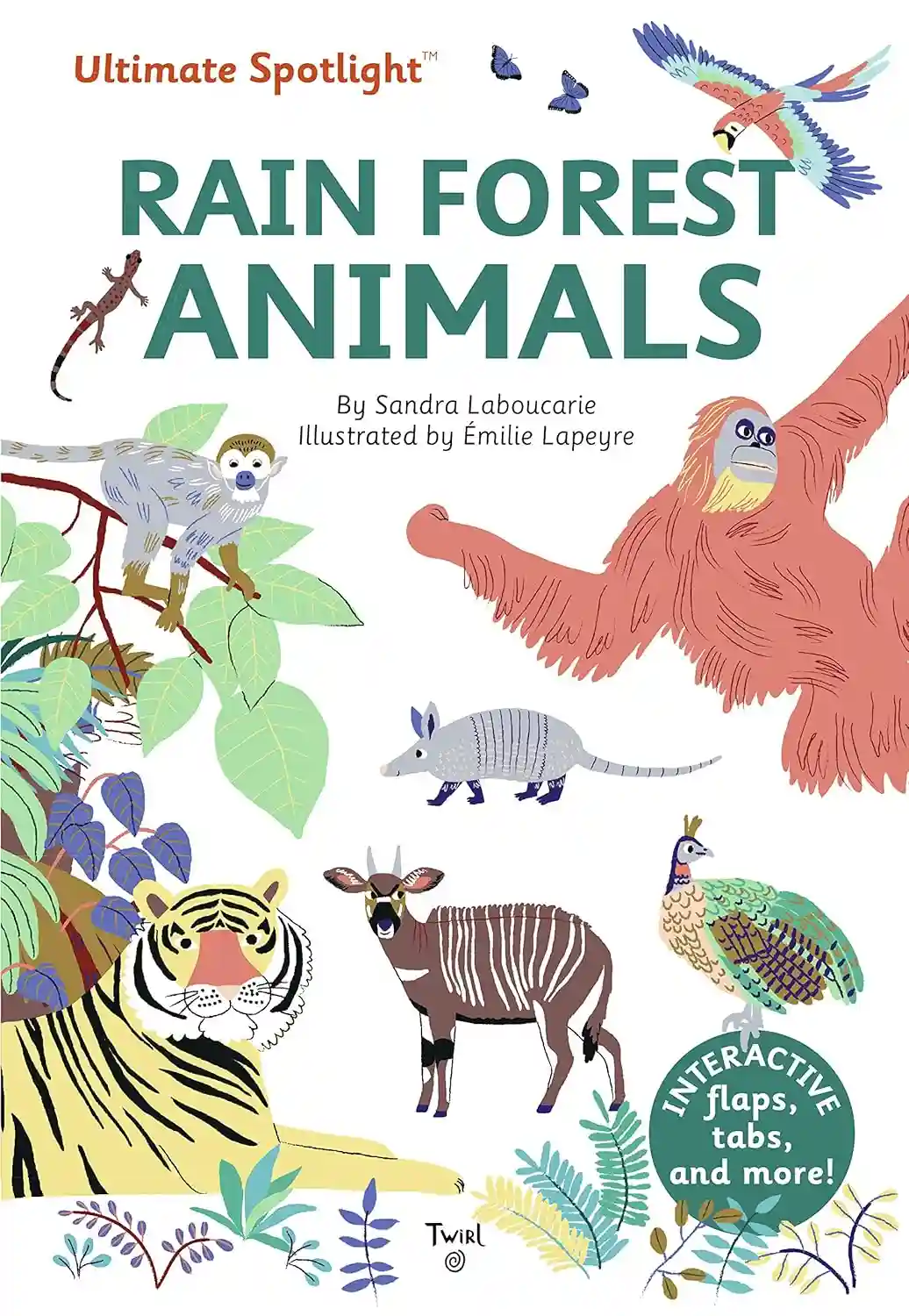 Ultimate Spotlight Rain Forest Animals