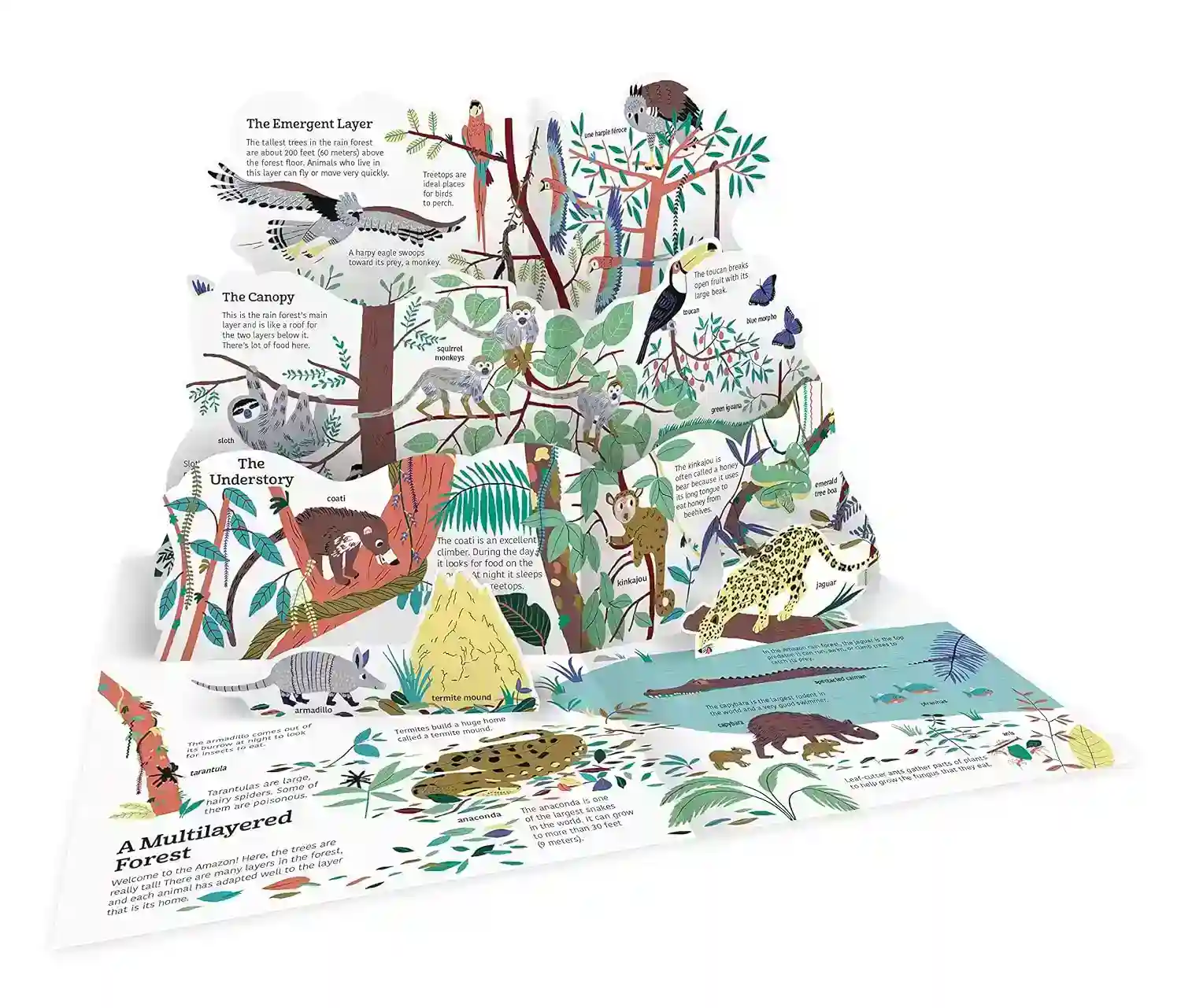 Gambar 3 Ultimate Spotlight Rain Forest Animals