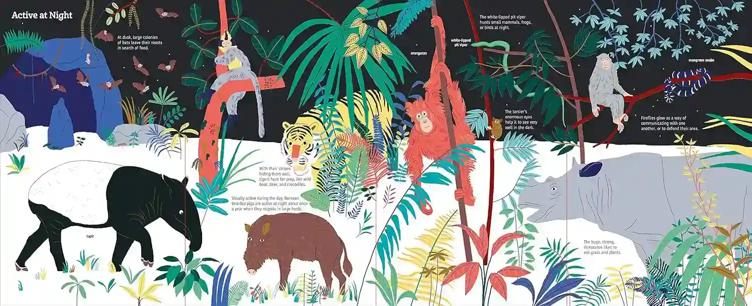 Gambar 4 Ultimate Spotlight Rain Forest Animals