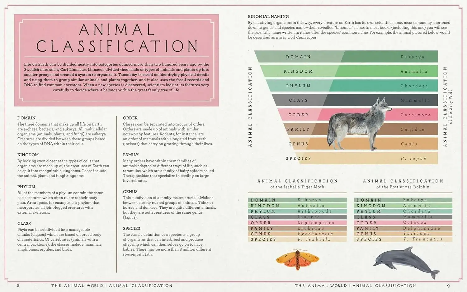 Gambar 2 The Animal World