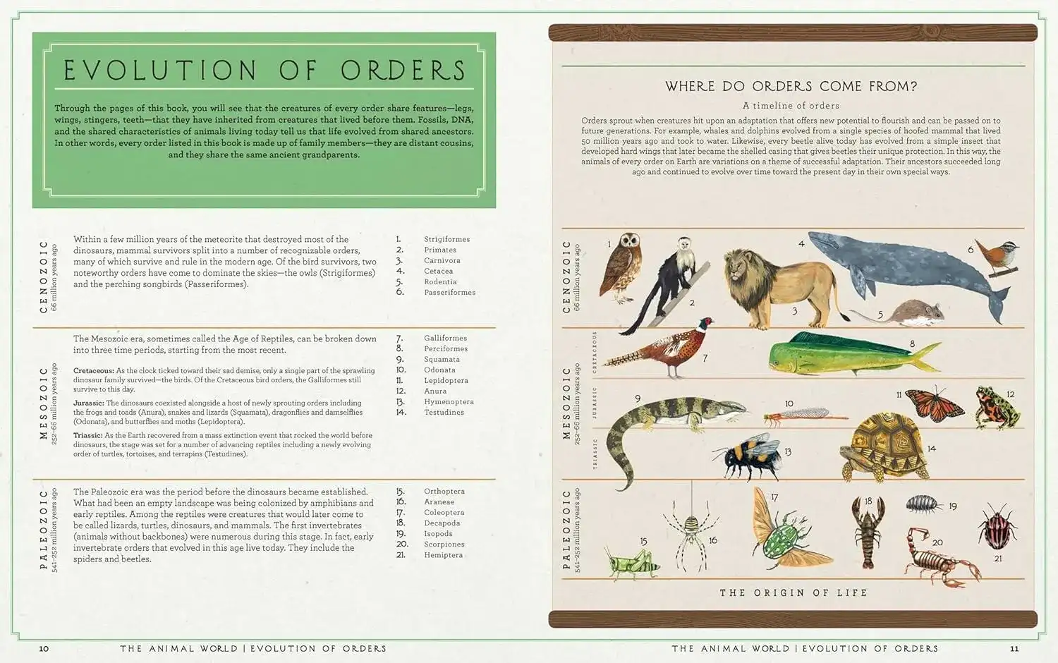 Gambar 3 The Animal World