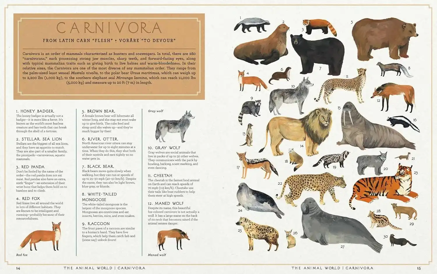 Gambar 4 The Animal World