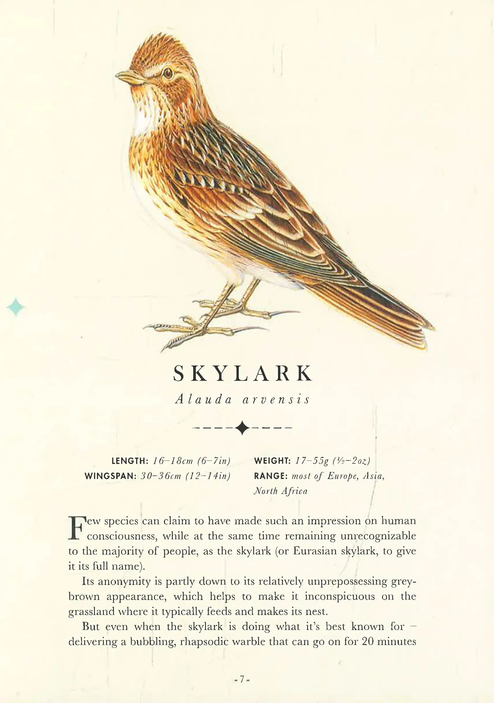 Gambar 2 The Aviary