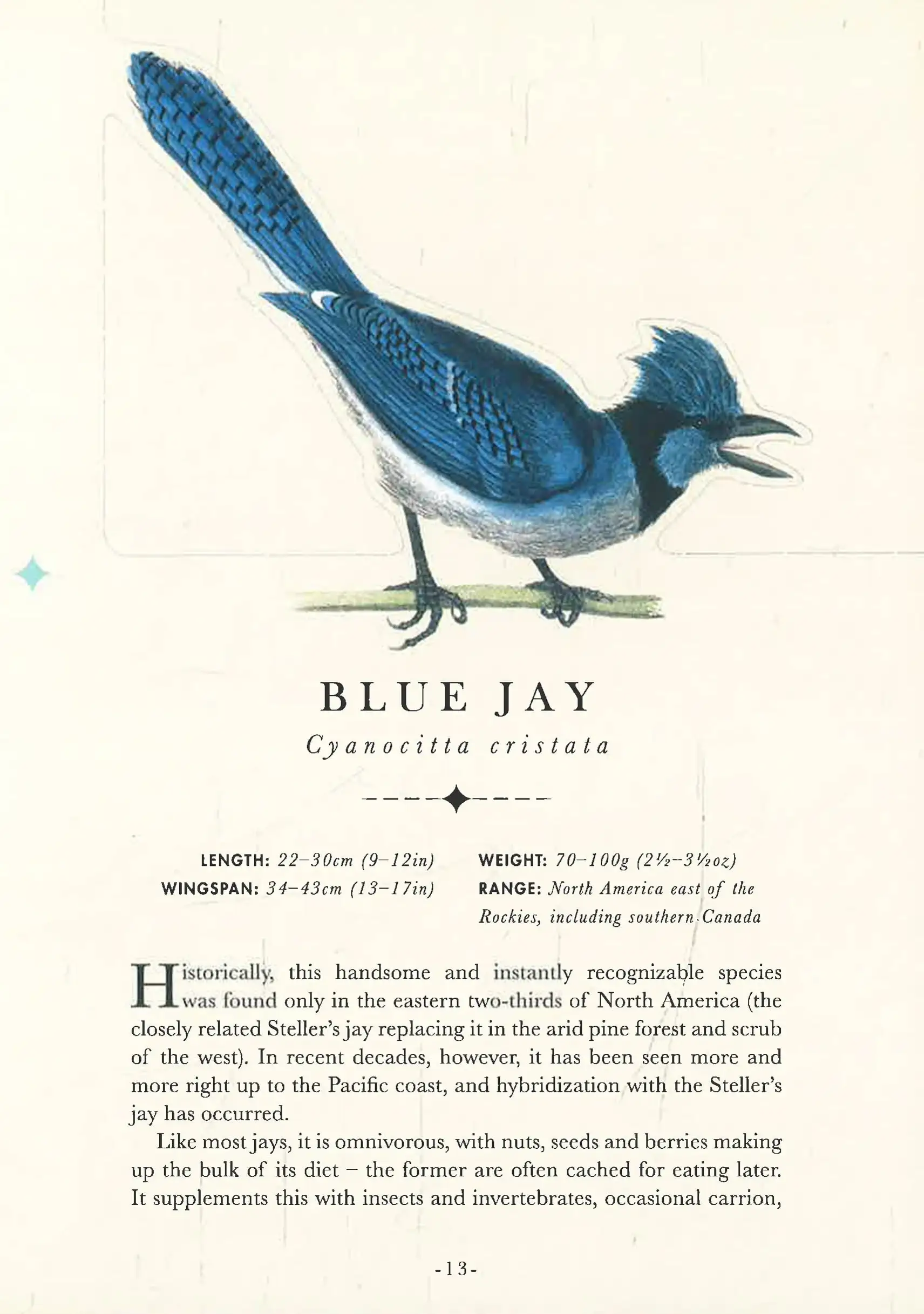 Gambar 4 The Aviary