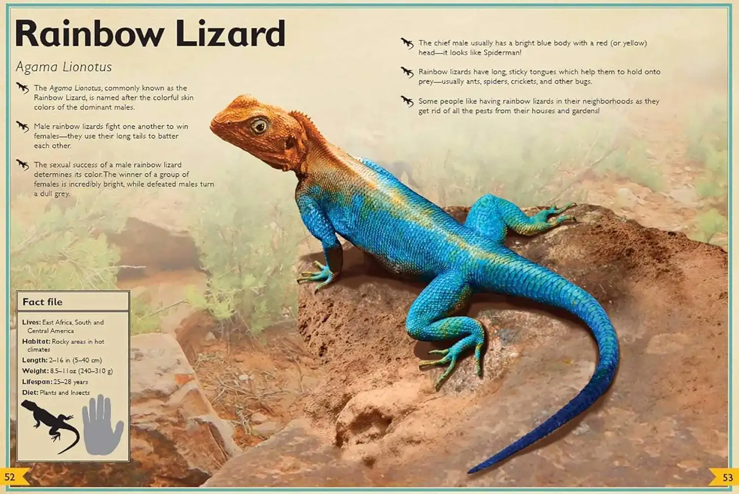 Gambar 2 The Magnificent Book of Reptiles and Amphibians