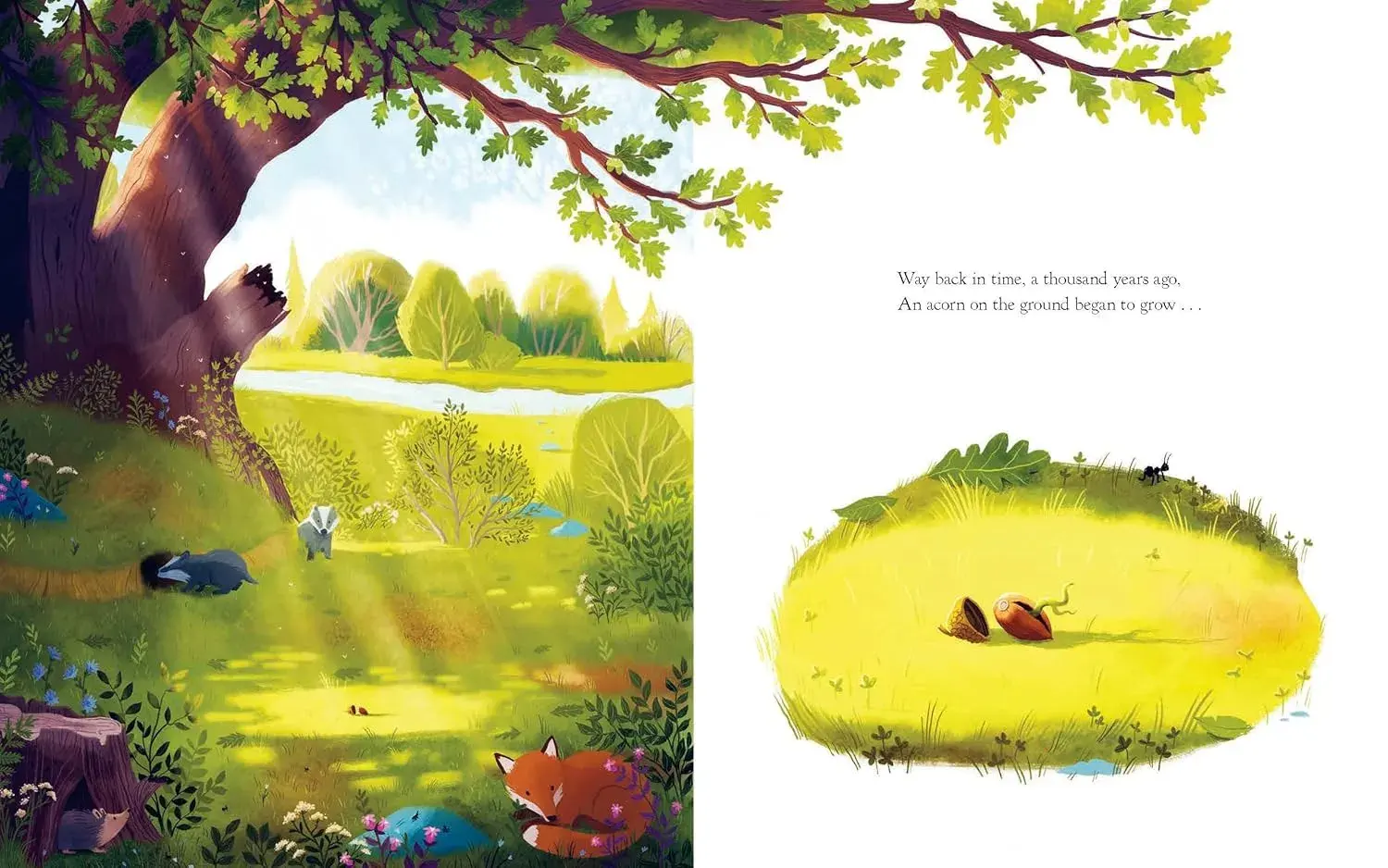 Gambar 2 The Oak Tree