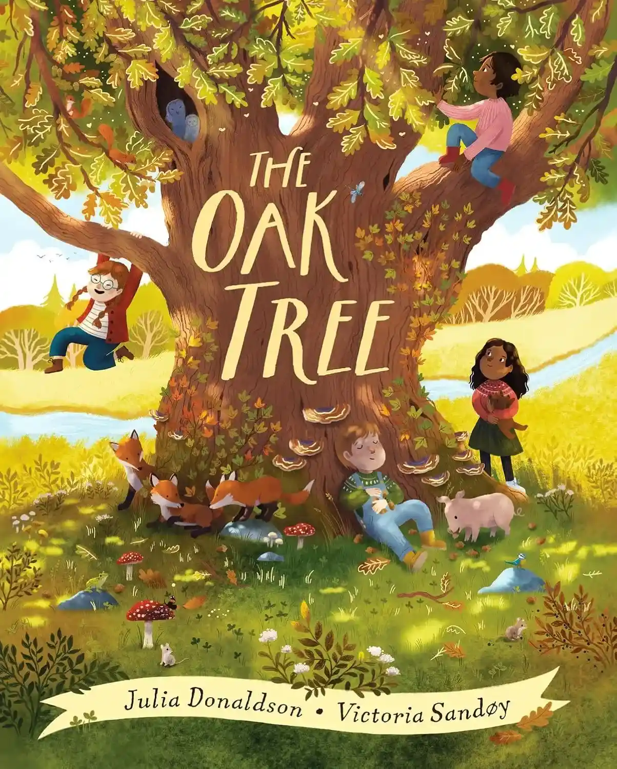 Cover The Oak Tree