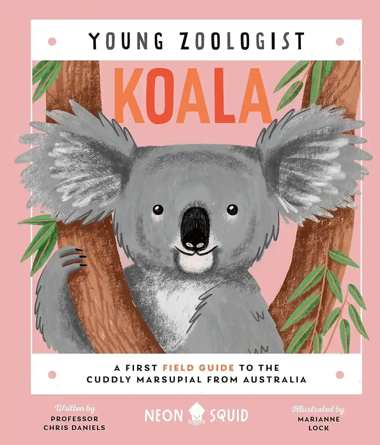 Cover Young Zoologist: Koala
