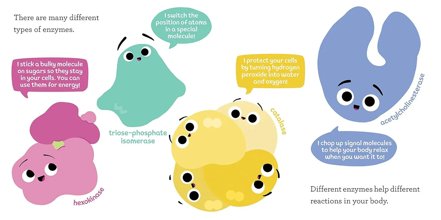 Gambar 4 Baby Biochemist: Enzymes