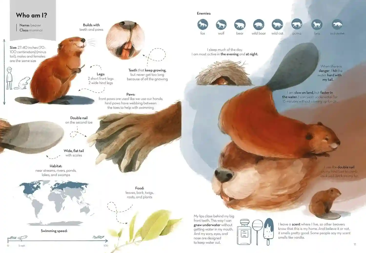 Gambar 2 Super Animals - Builders