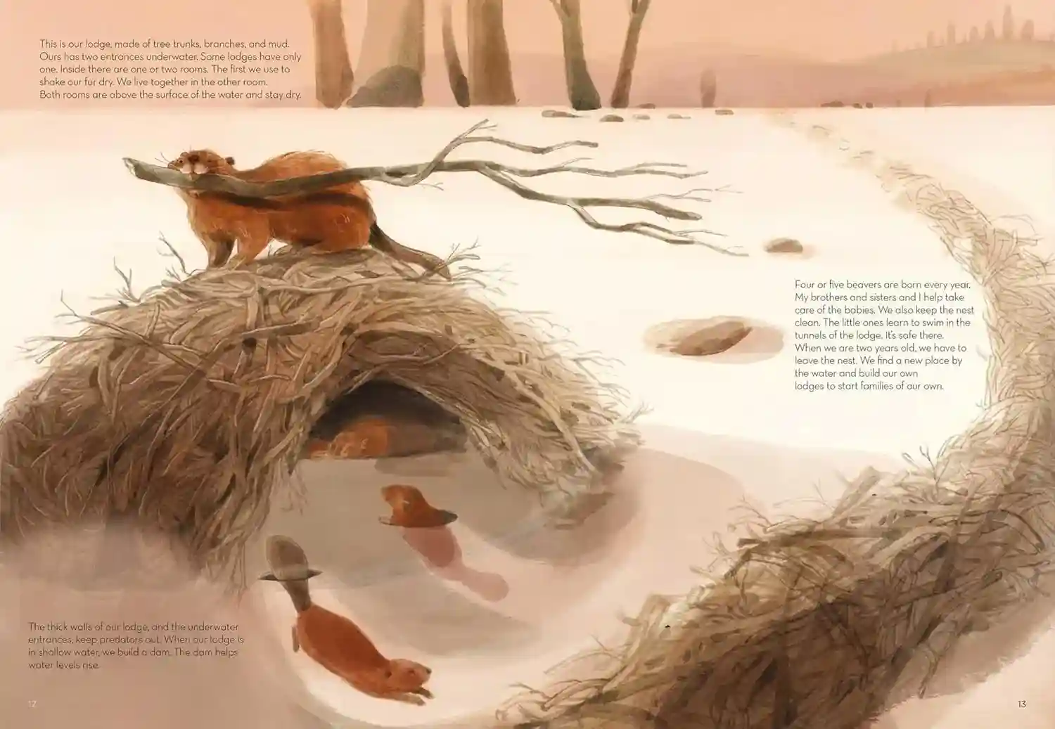 Gambar 3 Super Animals - Builders