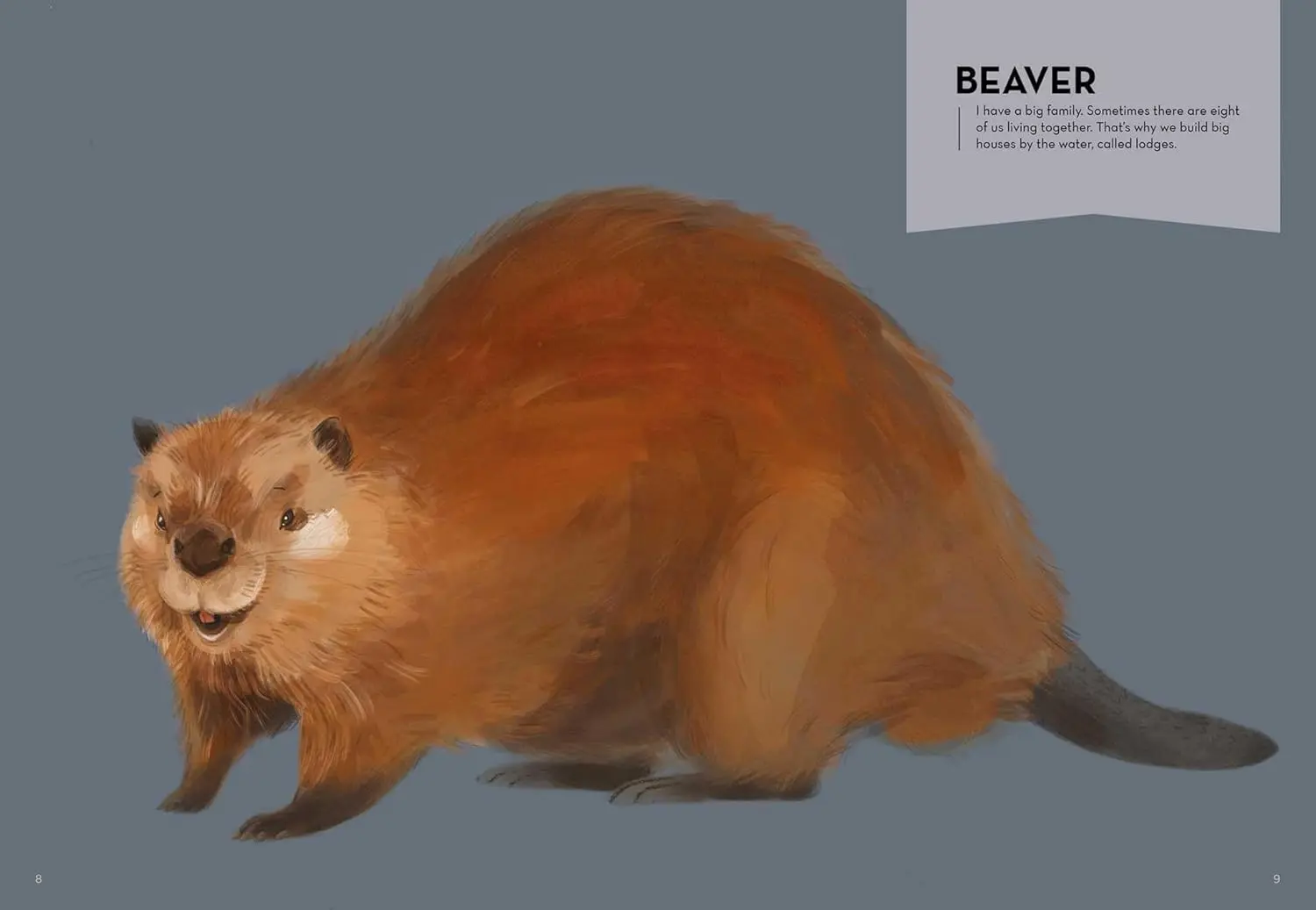 Gambar 4 Super Animals - Builders