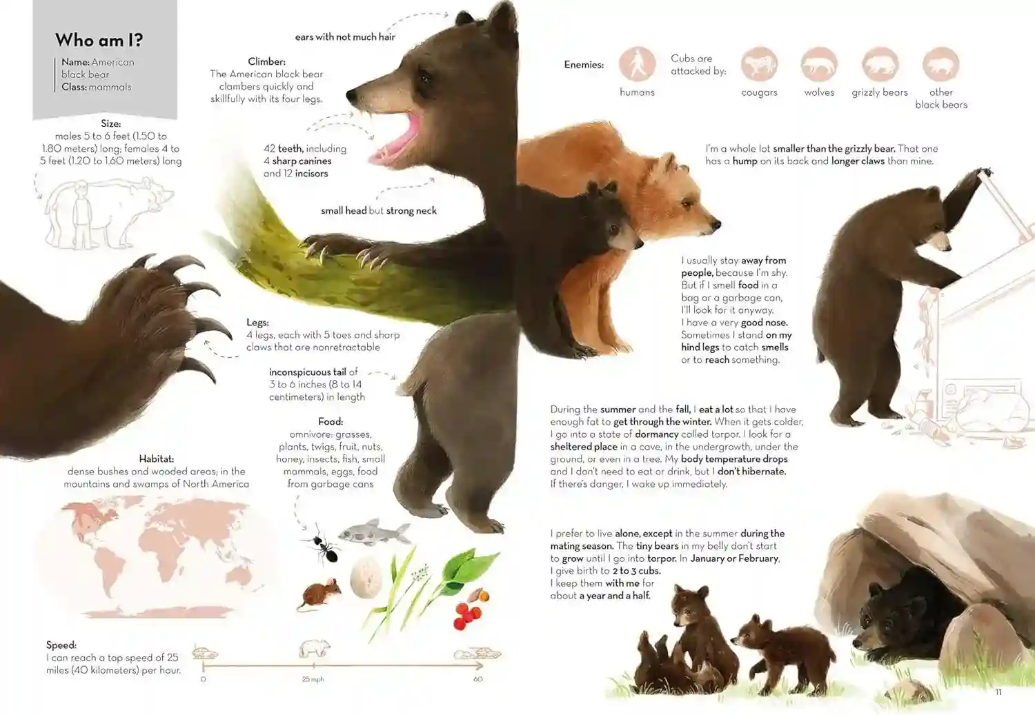 Gambar 2 Super Animals - Climbers