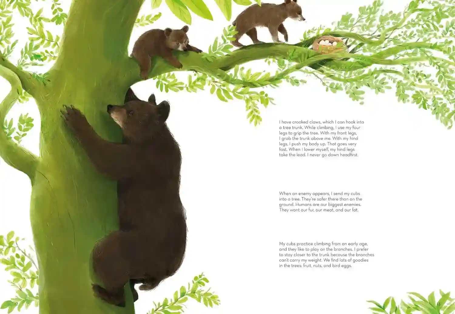 Gambar 3 Super Animals - Climbers