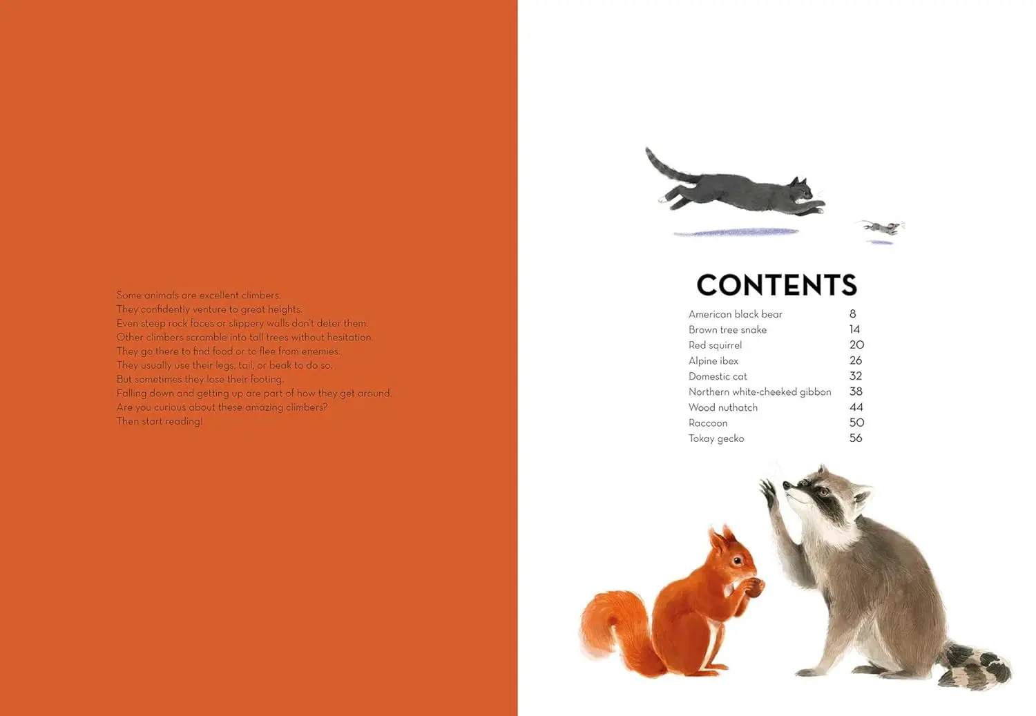Gambar 4 Super Animals - Climbers
